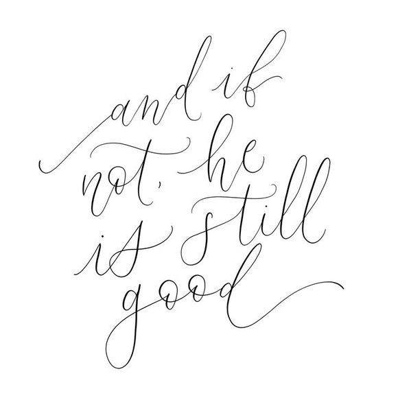 Meet your Posher, Lydia - Picture 1 of 9